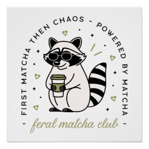 Poster Raccoon boire matcha club drôle animal kawaii