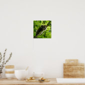 Poster Raccoon dans Green Tree Cute gris masqué raccoon (Cuisine)