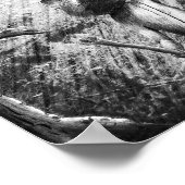 Poster Raccoon et Randonnée d'écureuil (Le sentier) (Coin)