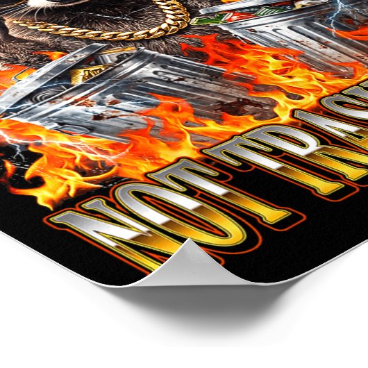 Poster Raccoon It's Called Trash Can Not Trash Cannot Fun (Coin)