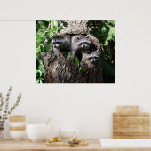 Poster Raccoon - Les Trois Amigos (Cuisine)