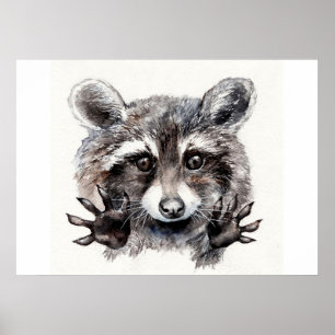 Poster Raccoon Lover Lovely Baby Raccoon