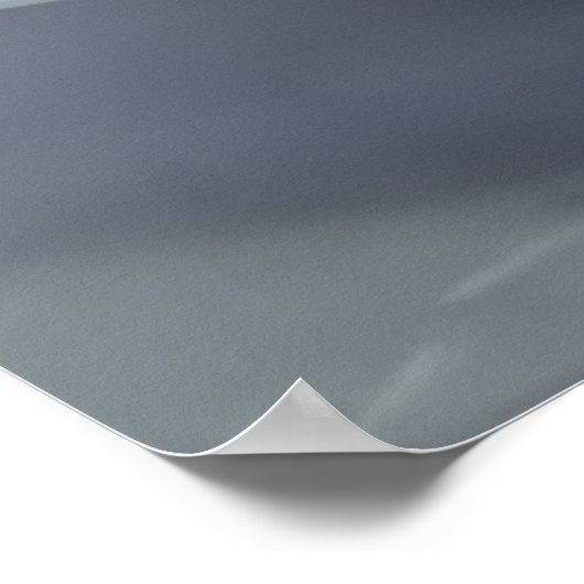 Poster Raccoon mangeant Spaghetti (Coin)