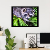 Poster Raccoon - Photographie de la faune (Bureau à domicile)