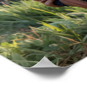 Poster Raccoon Pilot Airplane Funny Wildlife Animal (Coin)