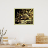 POSTER RACCOON ROCHEUX ASSIS SUR UN ARBRE (Cuisine)
