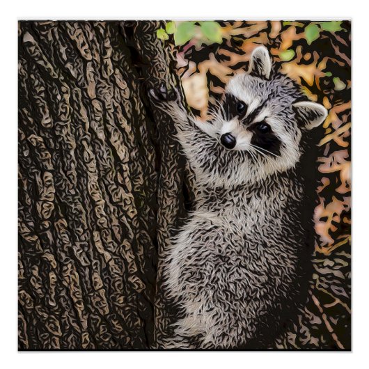Poster Raccoon sauvage (Devant)