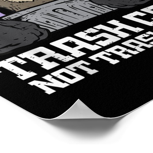 Poster Raccoon Trash Can Not Cant Funny Street Cat Men Wo (Coin)