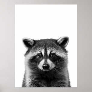 Poster Raccoon Woodland Modern Portrait noir blanc