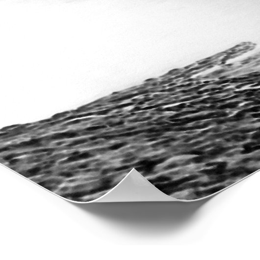 Poster Raccord (Coin)