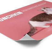 Poster Race De Chat Munchkin Ou Saucisse (Coin)