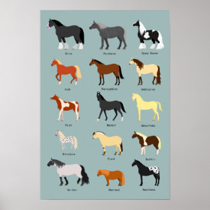Poster race de cheval