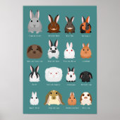 Poster race de lapins (Devant)