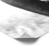 Poster Race mixte (Coin)