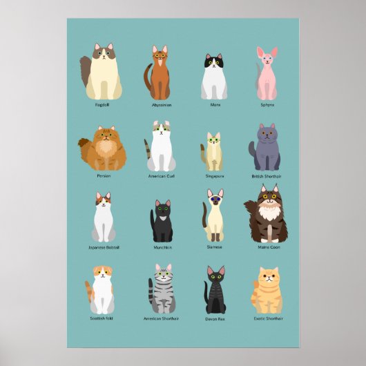 Poster races de chats, divers chats,art des chats (Devant)