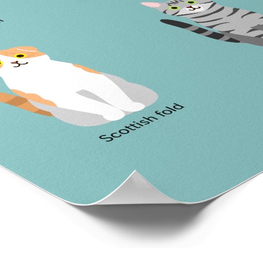Poster races de chats, divers chats, chats art (Coin)