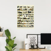 Poster Races de chiens illustrations couleur (Bureau à domicile)