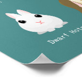 Poster races de lapins (Coin)