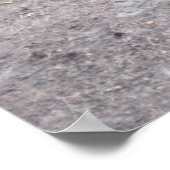 Poster Racines (Coin)