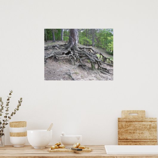 Poster Racines (Cuisine)