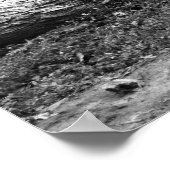 Poster Racines (Coin)