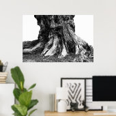 Poster Racines (Bureau à domicile)