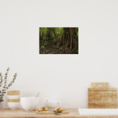 Poster Racines contreforts. Forêt tropicale, Mapari Rupun (Cuisine)
