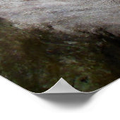 Poster Racines de figuiers de Moreton Bay (Coin)