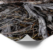 Poster Racines de l'arbre (Coin)