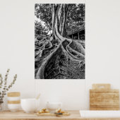 Poster Racines massives de caoutchouc (Cuisine)