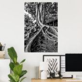 Poster Racines massives de caoutchouc (Bureau à domicile)