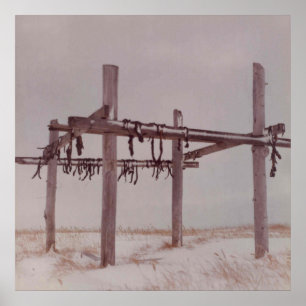 Poster Rack De Séchage De Viande Arctique, Vieux Pt. Phot