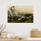 Poster Raconte Godwit (Cuisine)