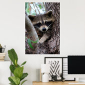 Poster Racoon (Bureau à domicile)