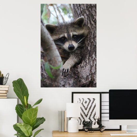 Poster Racoon (Bureau à domicile)