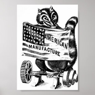 Poster Racoon Americana Illustration d'art politique