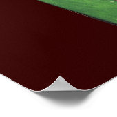 POSTER RACOONS JOUER AU POKER (Coin)