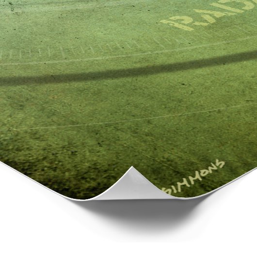 Poster Radarmadillo (Coin)