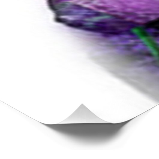 Poster Radiance en fleurs Kate de Carole Benichou (Coin)