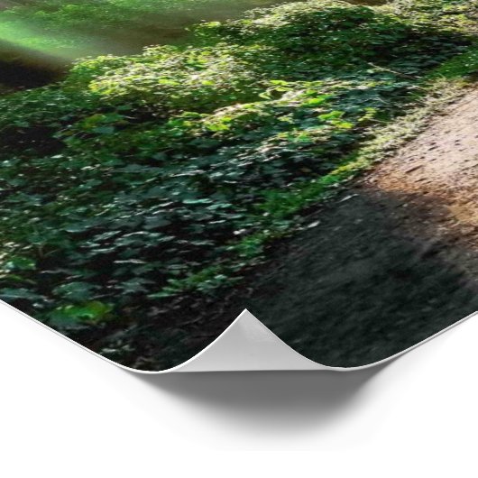 Poster Radiant (Coin)