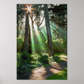 Poster Radiant (Devant)