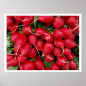 Poster Radis rouges (Devant)