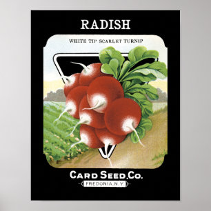 Poster Radish Seed Packet Étiquette
