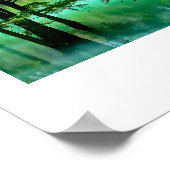 Poster Radium Springs ~ Albany Georgia (Coin)