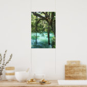 Poster Radium Springs Beauté (Cuisine)