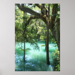 Poster Radium Springs Beauté