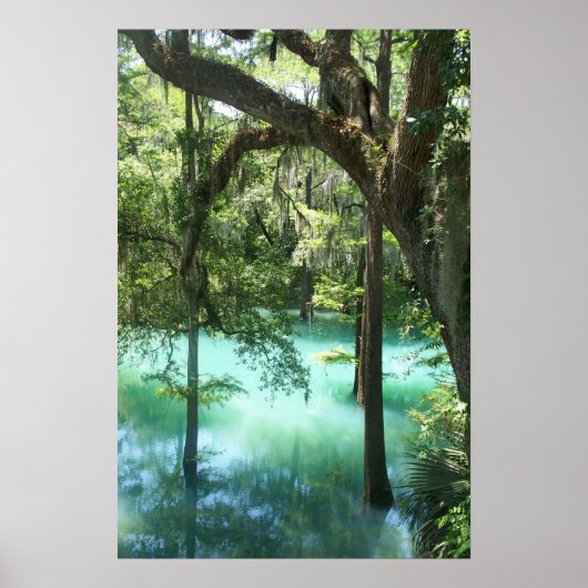 Poster Radium Springs Beauté (Devant)