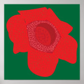 Poster Rafflesia (Devant)