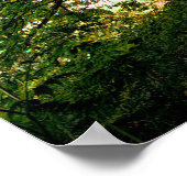 Poster Rafraîchir Nature Arbre Soleil Lumière Whimsical P (Coin)