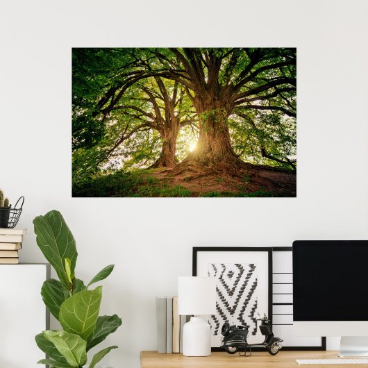 Poster Rafraîchir Nature Arbre Soleil Lumière Whimsical P (Bureau à domicile)